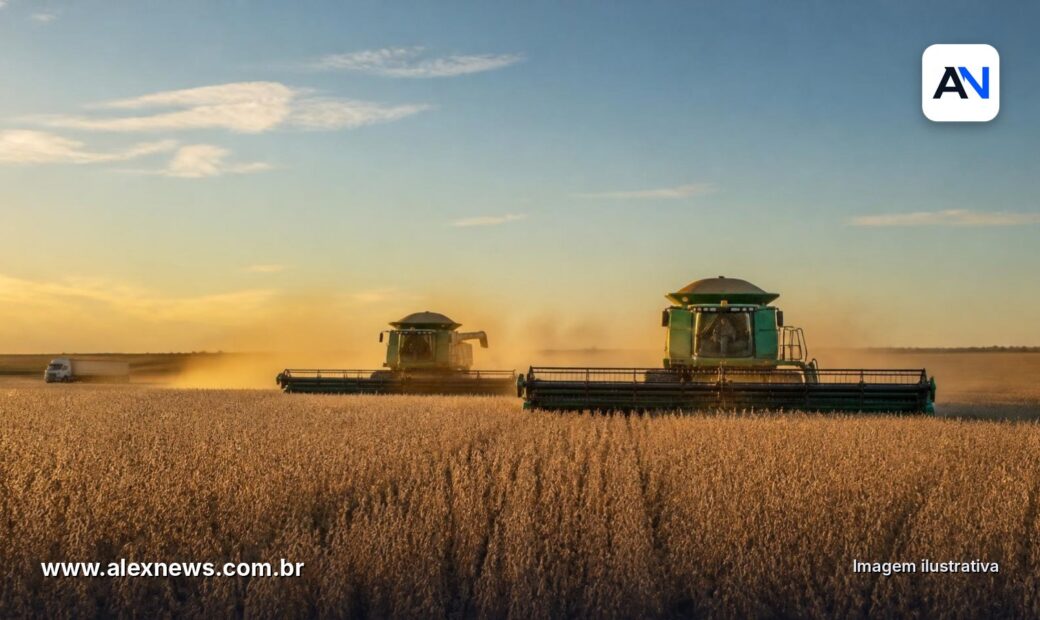 Alex News — Safra de grãos bate recorde, mas arroz, feijão e trigo caem — Agro
