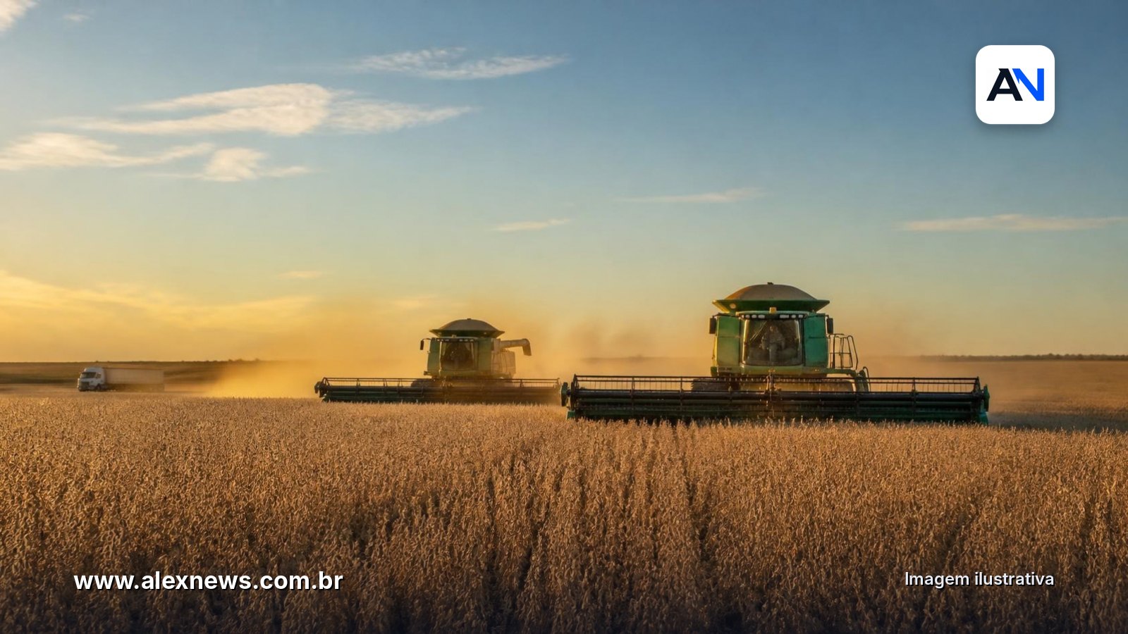 Safra de grãos bate recorde, mas arroz, feijão e trigo caem